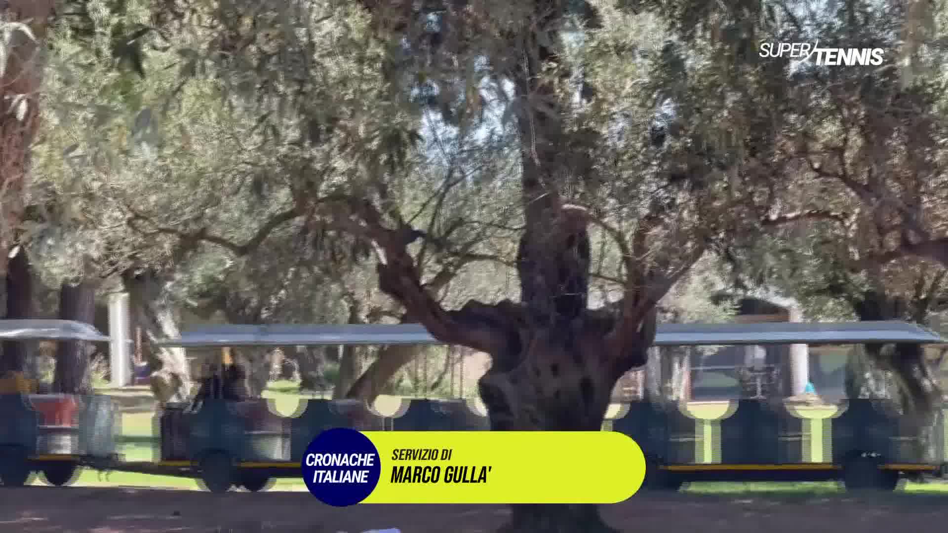 Viaggio al Centro Estivo di Sciacca